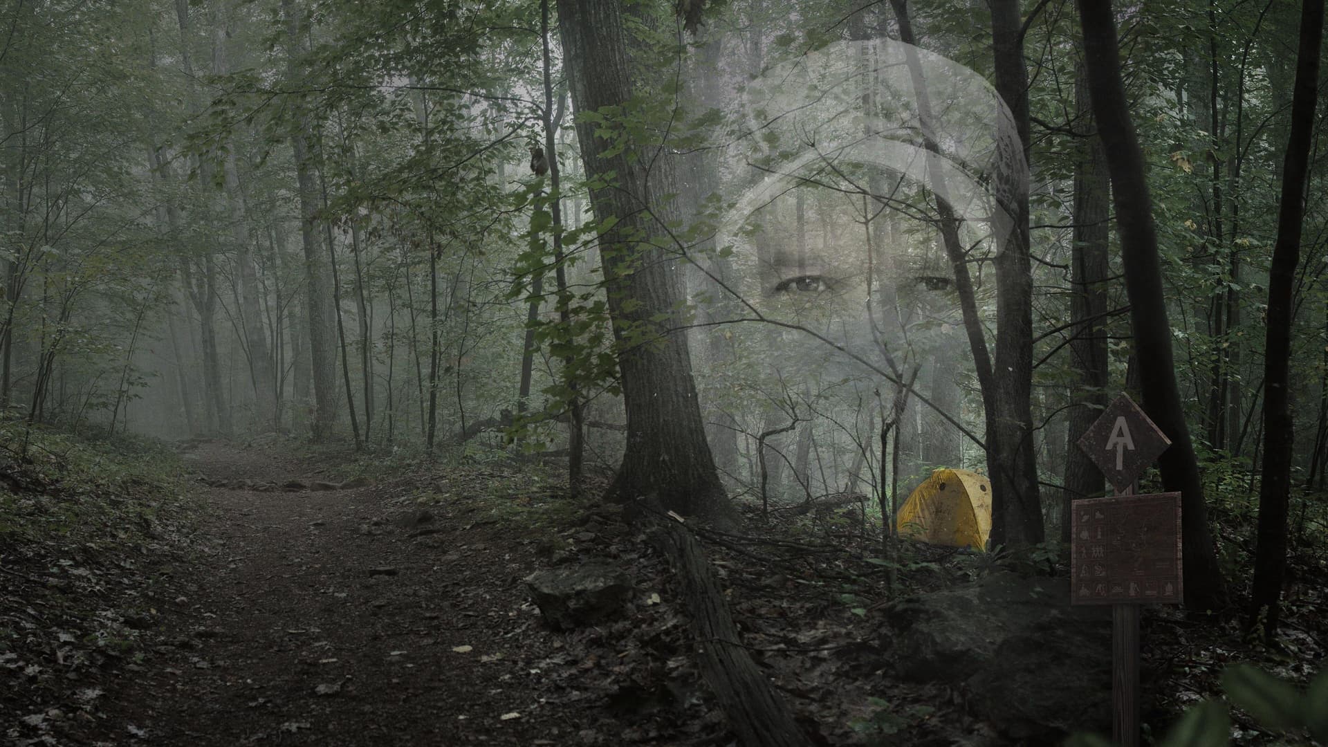 Họ Gọi Anh Ta Là Gần Như Vô Hại