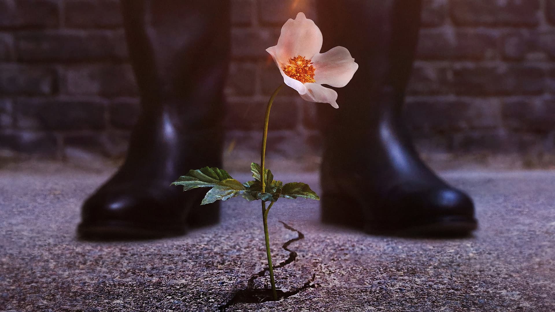 Thế Giới Của Phát Xít (Phần 3)