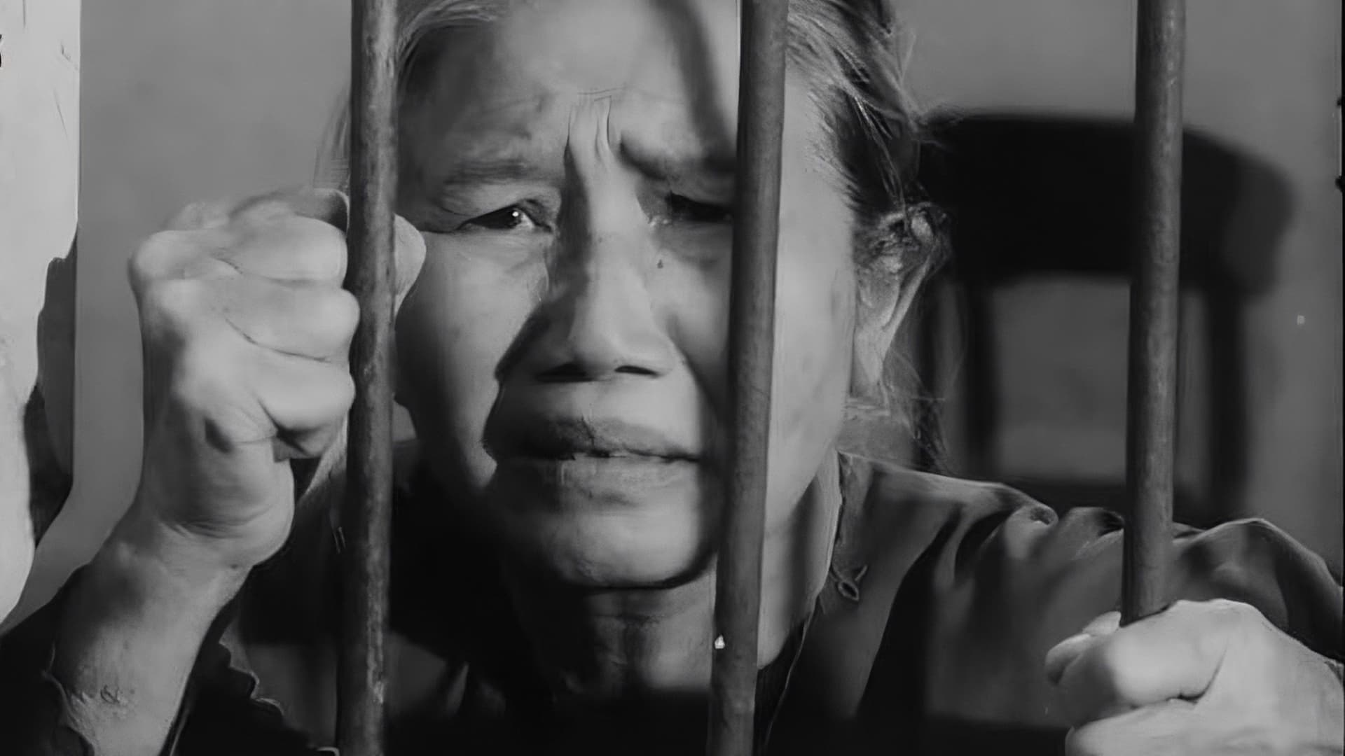 Tướng Về Hưu Tướng Về Hưu