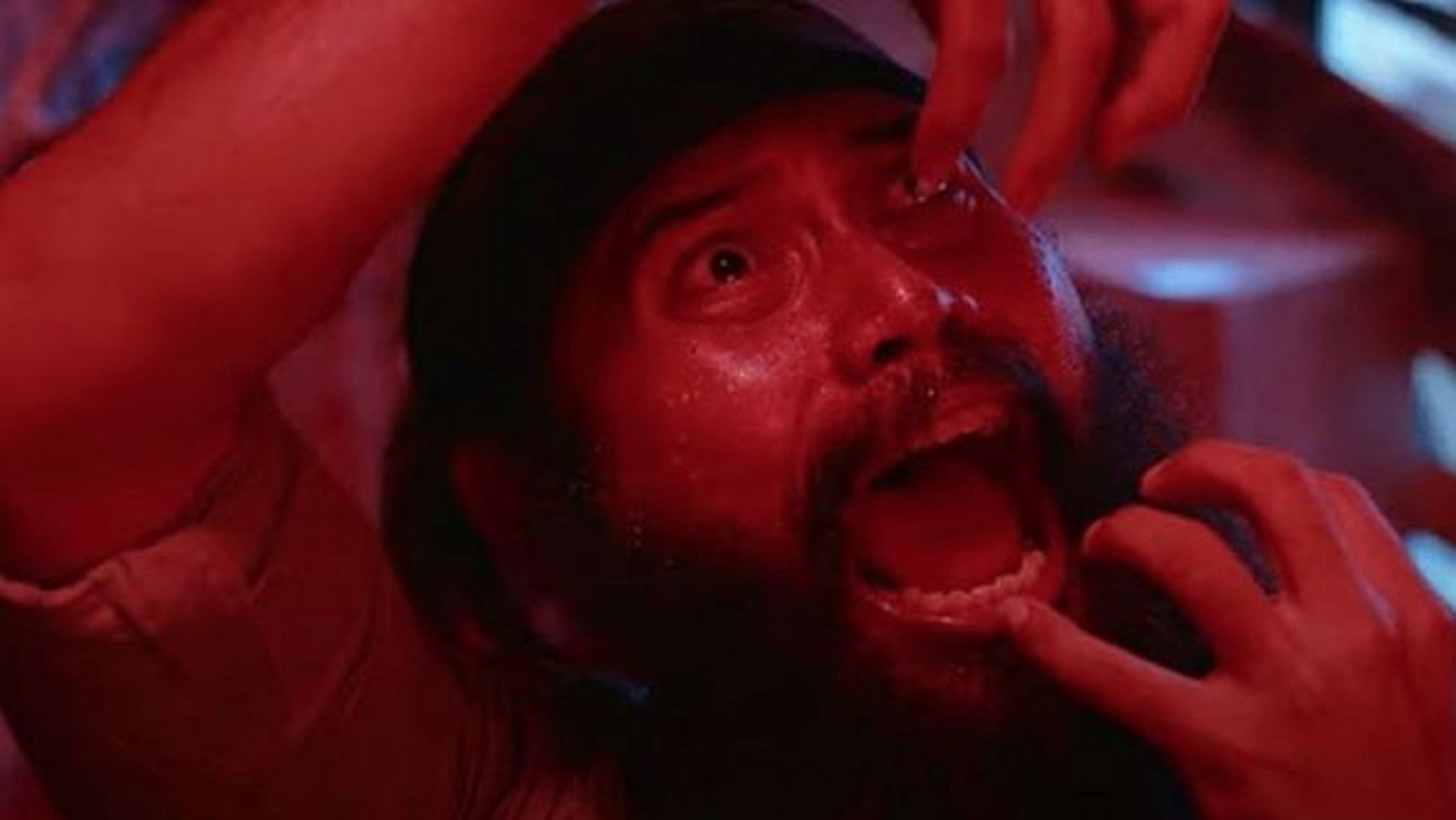 Bản thảo! Bản thảo!