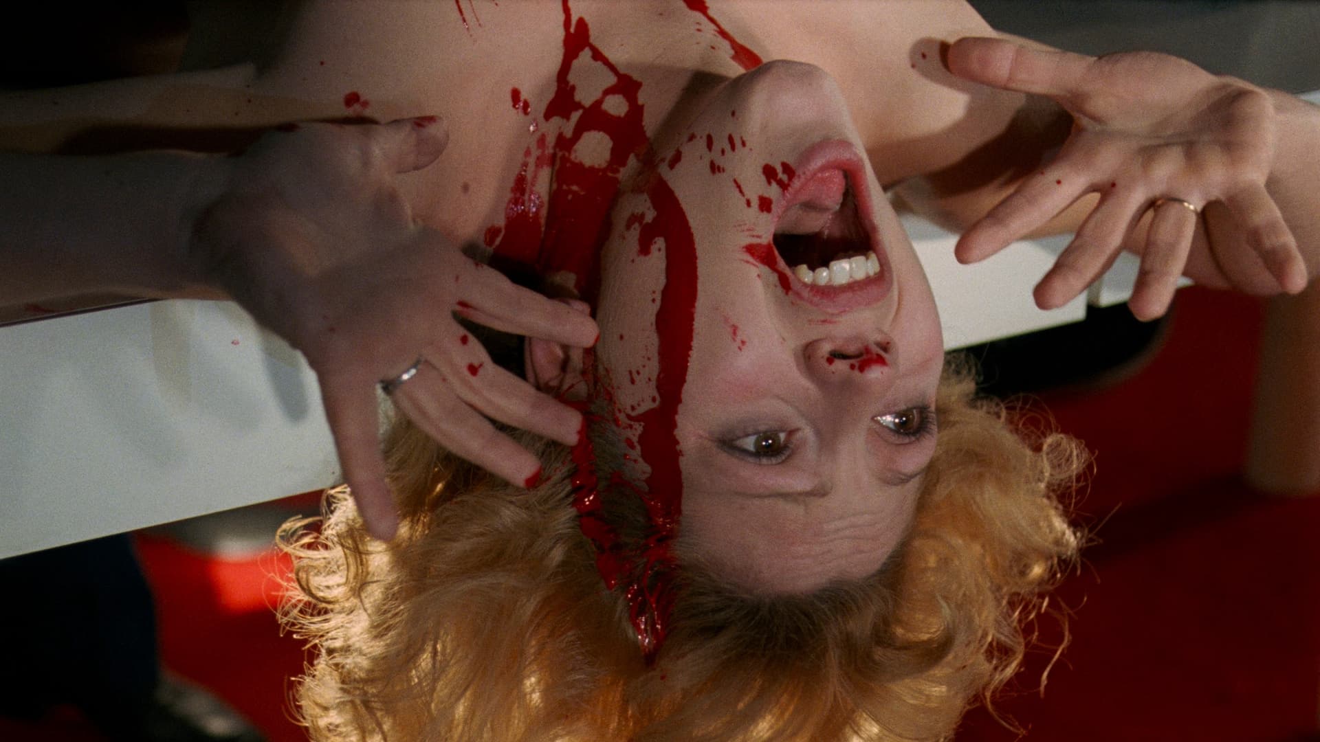 Đêm của kẻ bị săn đuổi Đêm của kẻ bị săn đuổi