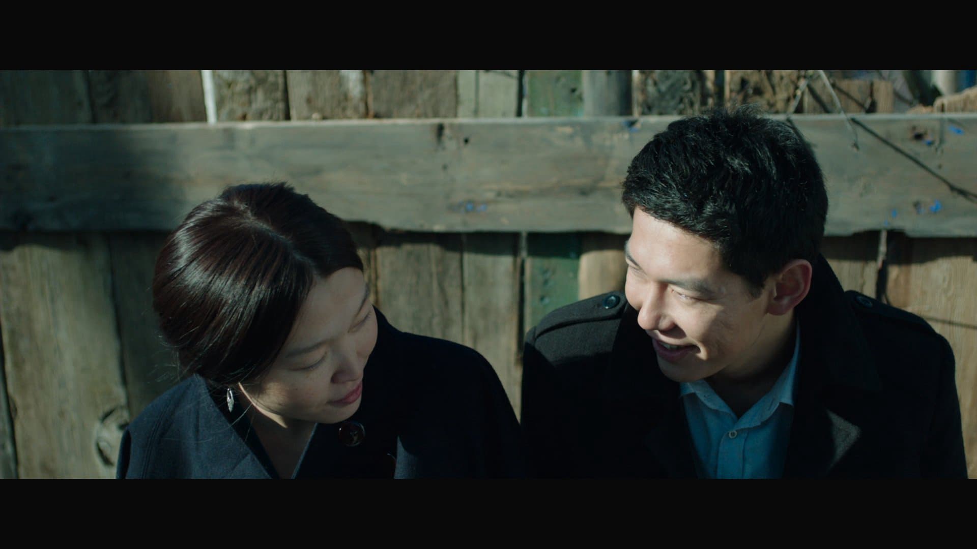 những con mòng biển những con mòng biển