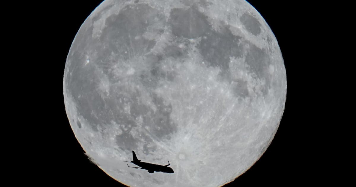 Tiệc Quái thú dưới ánh trăng Tiệc Quái thú dưới ánh trăng