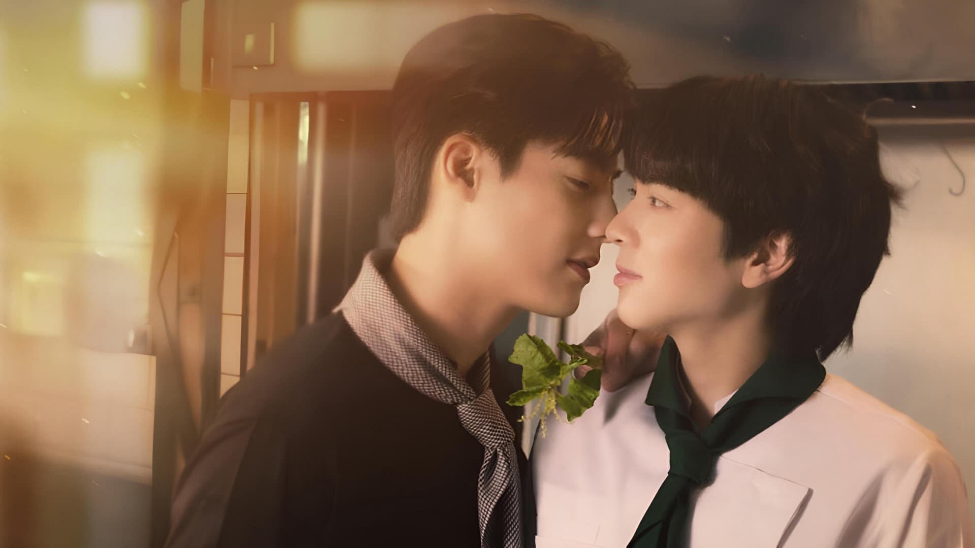 Tình Yêu Này Không Có Đậu Đũa Tình Yêu Này Không Có Đậu Đũa